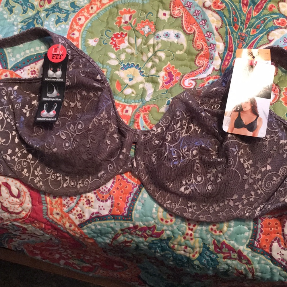 NWT grey bra 38DD